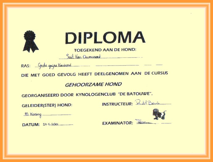 diploma-chief.jpg