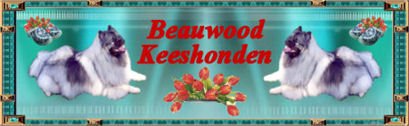 beauwood-banner.jpg